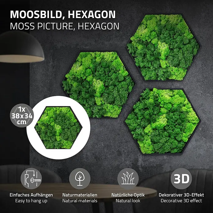 Moosbild Hexagon 38x34cm Mooswand Indoor mit echtem Islandmoos gerahmt -  - Drei sechseckige Moosbilder in Grün an einer Wand, eines hebt seine Größe von 38x34 cm und Merkmale hervor.