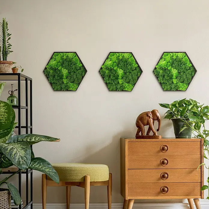 Moosbild Hexagon 38x34cm Mooswand Indoor mit echtem Islandmoos gerahmt -  - Drei sechseckige Rahmen mit konserviertem grünem Moos, Teil einer natürlichen Raumdekoration.