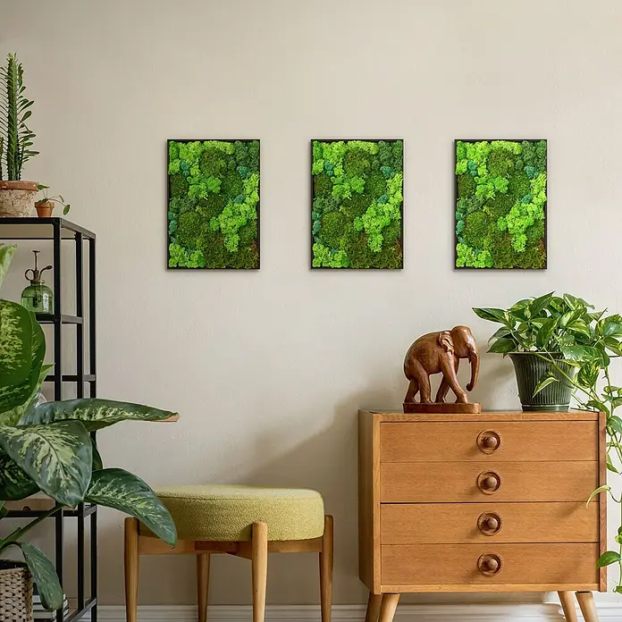 Moosbild Rechteck 38x27 cm Mooswand Indoor mit echtem Moos-Mix gerahmt -  - Drei rechteckige, schwarz gerahmte Kunstwerke mit lebendigem, texturiertem grünem Konservierungsmoos, in einem modernen Raum präsentiert.
