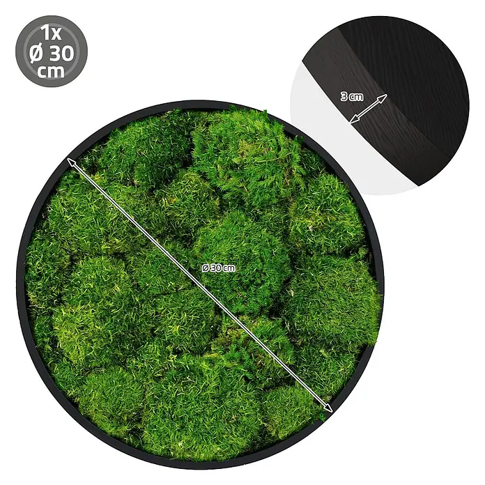 Moosbild Rund Ø 30 cm Mooswand Indoor mit echtem Kugelmoos Holzrahmen -  - Rundes Moosbild mit grünem Moos und schwarzem Rahmen, 30 cm Durchmesser, 3 cm tief.