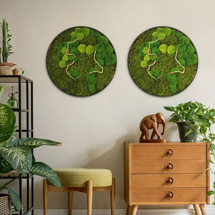 Moosbild Rund Ø60 cm Mooswand Indoor echtes Moos-Mix Holzäste gerahmt -  - Zwei runde Moosbilder mit grünem Moos und Naturholzakzenten, schwarz gerahmt, an einer Wand hängend.