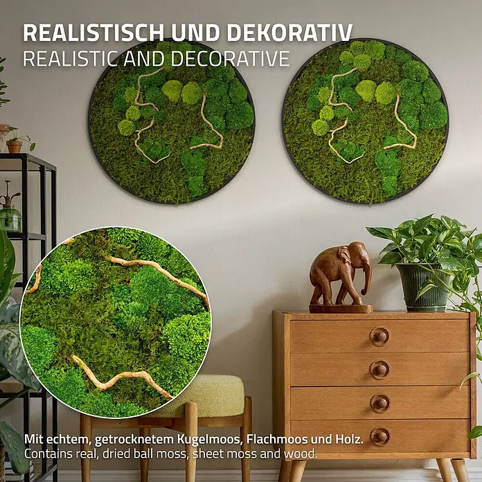 Moosbild Rund Ø60 cm Mooswand Indoor echtes Moos-Mix Holzäste gerahmt -  - Zwei runde Moosbilder aus echtem getrocknetem Kugelmoos, Flachmoos und Holz an einer Wand. Eine Nahaufnahme zeigt die grünen Texturen.