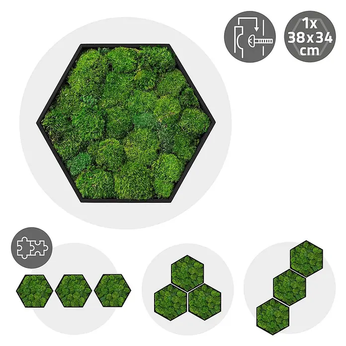 Moosbild Hexagon 38x34 cm Mooswand Indoor mit echtem Kugelmoos gerahmt -  - Sechseckiges Moos-Wandpaneel mit schwarzem Rahmen, modular, zeigt Installation und Größe (38x34 cm).