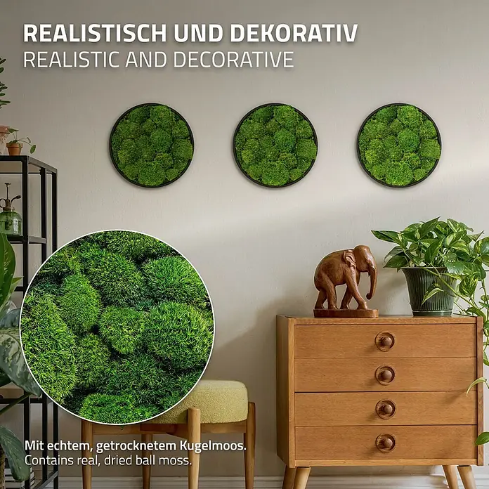 Moosbild Rund Ø 30 cm Mooswand Indoor mit echtem Kugelmoos Holzrahmen -  - Drei runde Deko-Wandbilder aus echtem, getrocknetem Kugelmoos hängen an einer hellen Wand.