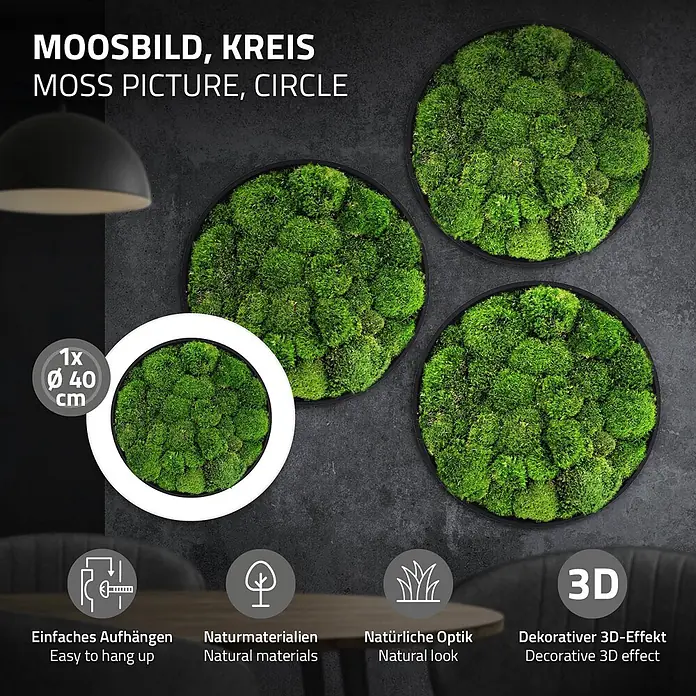 Moosbild Rund Ø 40 cm Mooswand Indoor mit echtem Kugelmoos Holzrahmen -  - Moosbilder in dunklen runden Rahmen, an einer Wand präsentiert. Eines ist mit 40 cm Durchmesser hervorgehoben.