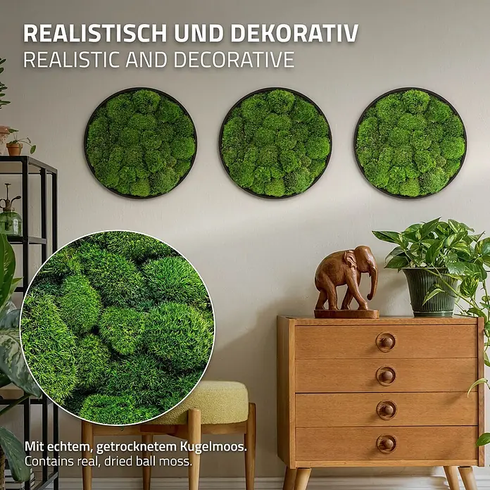 Moosbild Rund Ø 40 cm Mooswand Indoor mit echtem Kugelmoos Holzrahmen -  - Drei runde Wandbilder mit echtem, getrocknetem Kugelmoos als Dekoration, Nahaufnahme zeigt Moosstruktur.