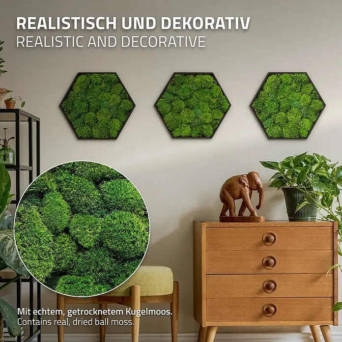 Moosbild Hexagon 38x34 cm Mooswand Indoor mit echtem Kugelmoos gerahmt -  - Drei sechseckige, schwarz gerahmte Moosbilder an der Wand. Mit echtem, getrocknetem Kugelmoos für realistische Wanddekoration.
