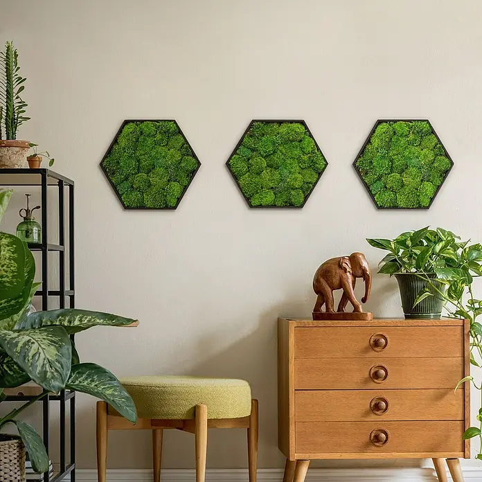 Moosbild Hexagon 38x34 cm Mooswand Indoor mit echtem Kugelmoos gerahmt -  - Drei sechseckige grüne Moos-Wandkunstpaneele mit schwarzen Rahmen.