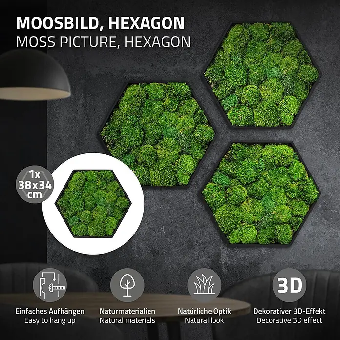 Moosbild Hexagon 38x34 cm Mooswand Indoor mit echtem Kugelmoos gerahmt -  - Hexagonales Moosbild zur Wanddekoration, mit lebhaft grünem Naturmoos und dekorativem 3D-Effekt.