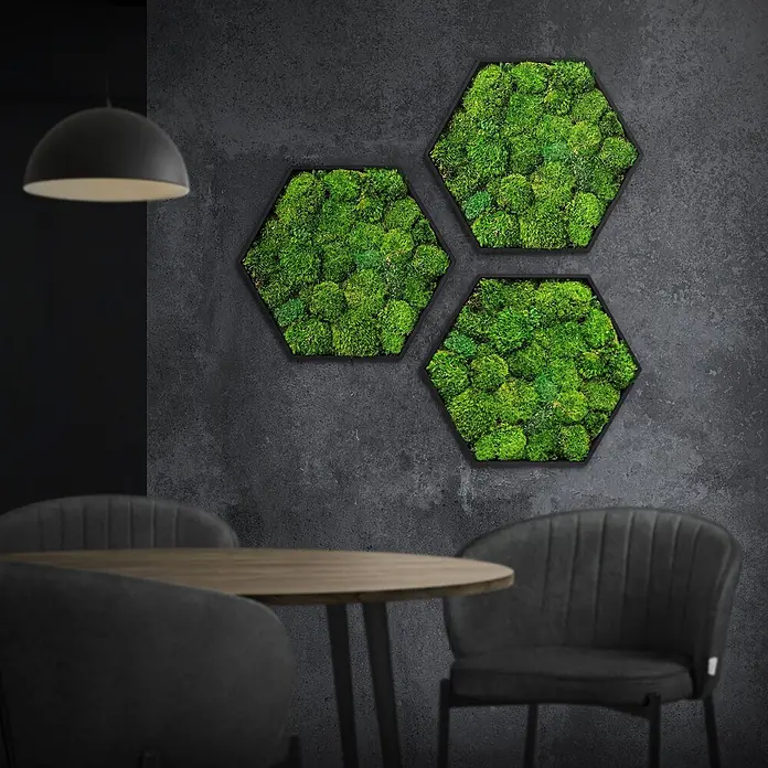 Moosbild Hexagon 38x34 cm Mooswand Indoor mit echtem Kugelmoos gerahmt -  - Drei sechseckige Moosbilder an einer dunklen Wand, über einem Holztisch mit Stühlen, als natürliche Dekoration in einem modernen Raum.