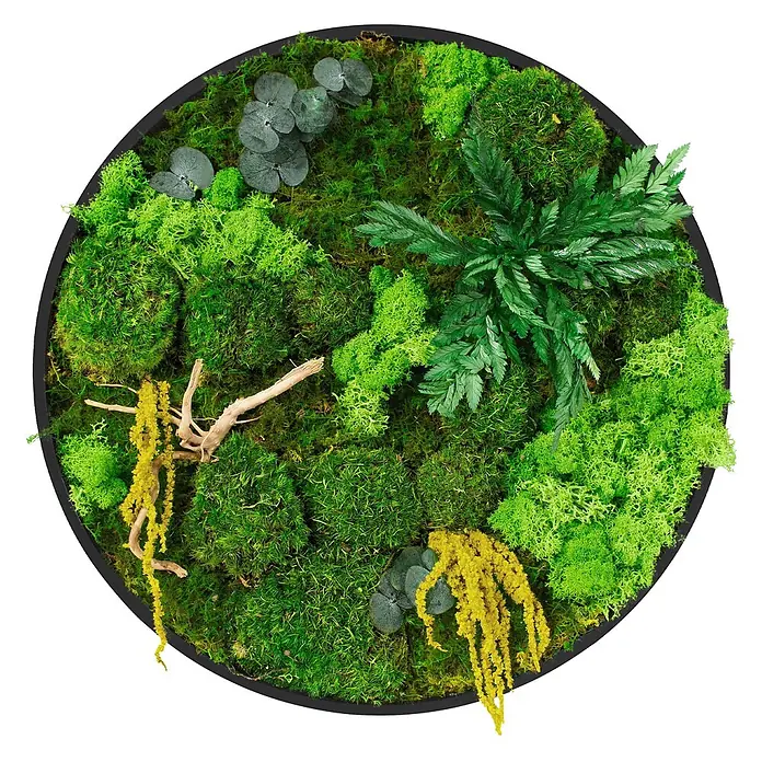 Moosbild Rund Ø40 cm Mooswand Indoor gerahmt echtes Moos-Mix Holzäste -  - Rundes Moosbild mit verschiedenen grünen Moosarten, Farn, graugrünen Blättern, gelber Trockendeko und Zweigen.