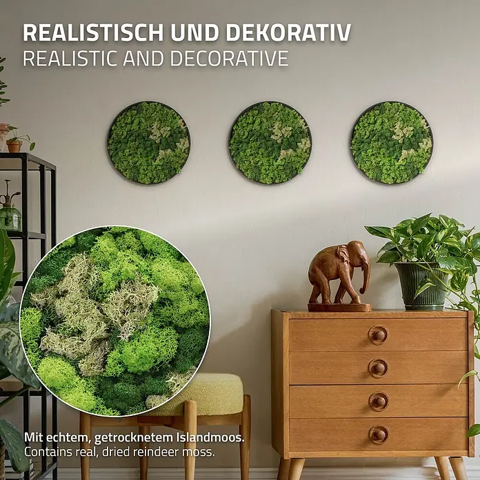 Moosbild Rund Ø 30 cm Mooswand Indoor mit echtem Islandmoos Holzrahmen -  - Drei runde Wanddekorationen aus echten, getrockneten Rentierflechten, in einem Wohnzimmer.