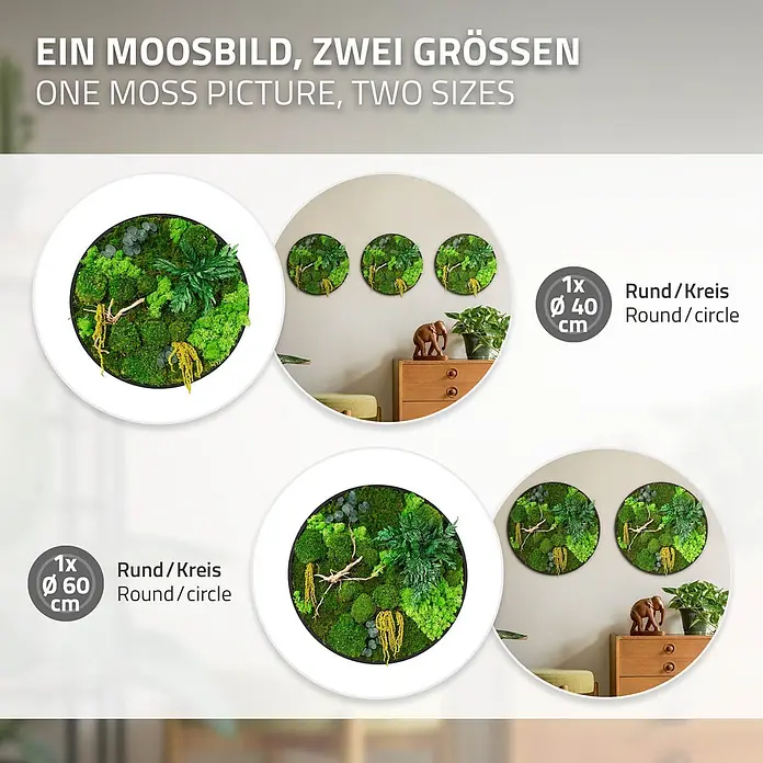 Moosbild Rund Ø60 cm Mooswand Indoor gerahmt echtes Moos-Mix Holzäste -  - Zwei runde Moosbilder mit weißem Rahmen, 40cm und 60cm, mit verschiedenen Grünmoosarten und Naturelementen, in einem Raum gezeigt.