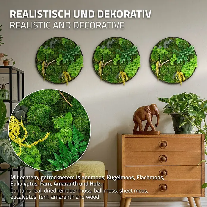 Moosbild Rund Ø40 cm Mooswand Indoor gerahmt echtes Moos-Mix Holzäste -  - Drei runde dekorative Moosbilder an einer Wand, gefertigt aus echtem getrocknetem Islandmoos, Kugelmoos, Flachmoos, Eukalyptus, Farn, Amarant und Holz.