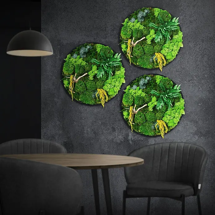 Moosbild Rund Ø40 cm Mooswand Indoor gerahmt echtes Moos-Mix Holzäste -  - Drei runde Moosbilder mit natürlichen Elementen, an dunkler Wand über Tisch und Stühlen montiert.