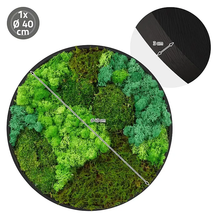 Moosbild Rund Ø40 cm Mooswand Indoor mit echtem Moos-Mix gerahmt -  - Runde Wanddeko mit konserviertem grünem Moos in schwarzem Rahmen, 40 cm Durchmesser, 3 cm tief.