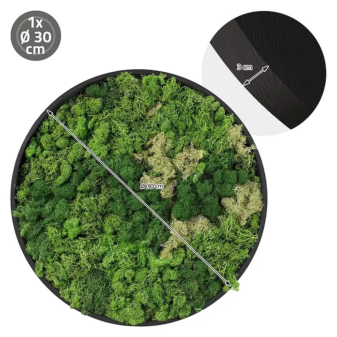 Moosbild Rund Ø 30 cm Mooswand Indoor mit echtem Islandmoos Holzrahmen -  - Rundes Moosbild mit schwarzem Rahmen, 30 cm Durchmesser, 3 cm tief.