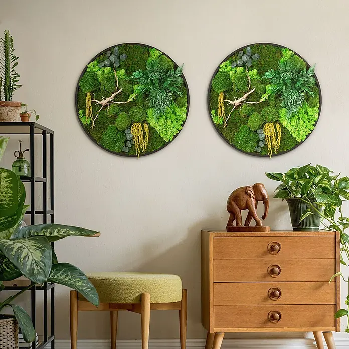 Moosbild Rund Ø60 cm Mooswand Indoor gerahmt echtes Moos-Mix Holzäste -  - Zwei runde Moosbilder, mit grünen Moostexturen, Ästen und gelben Akzenten.