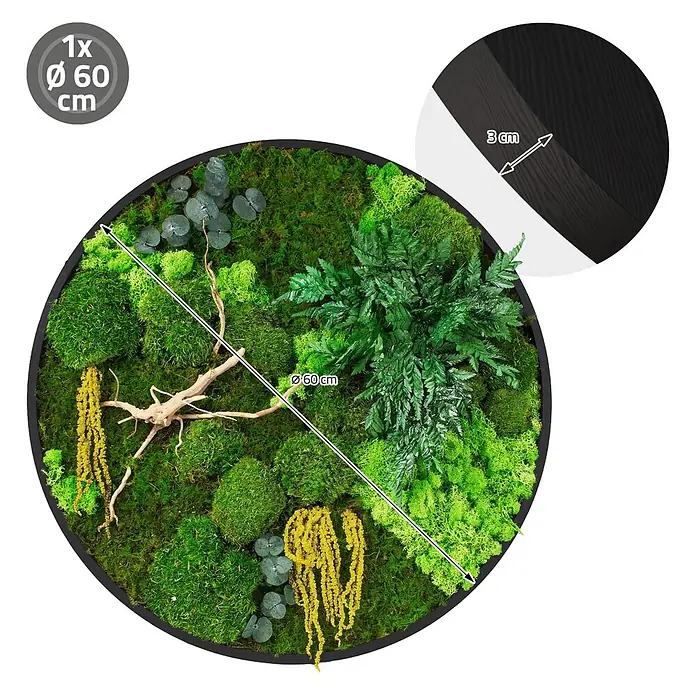 Moosbild Rund Ø60 cm Mooswand Indoor gerahmt echtes Moos-Mix Holzäste -  - Rundes Moosbild mit schwarzem Rahmen, verschiedenen Moosen, Pflanzen und Treibholz, Ø 60 cm, 3 cm tief.