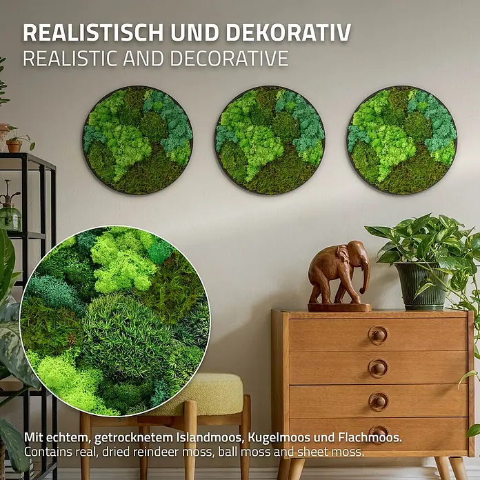 Moosbild Rund Ø40 cm Mooswand Indoor mit echtem Moos-Mix gerahmt -  - Drei runde, grüne Moosbilder, gefertigt aus Rentier-, Kugel- und Flachmoos, an einer Wand präsentiert.