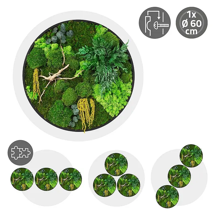 Moosbild Rund Ø60 cm Mooswand Indoor gerahmt echtes Moos-Mix Holzäste -  - Rundes Moosbild mit verschiedenen grünen Moosen, Naturholz und gelben Akzenten zur Wanddekoration. Durchmesser 60 cm, aufhängbar.