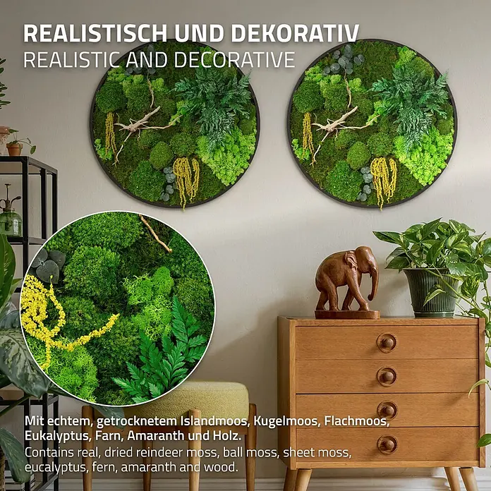 Moosbild Rund Ø60 cm Mooswand Indoor gerahmt echtes Moos-Mix Holzäste -  - Rundes Moos-Wandkunstwerk aus echten, konservierten Moosen und natürlichen Elementen, dekorativ an einer Wand platziert.