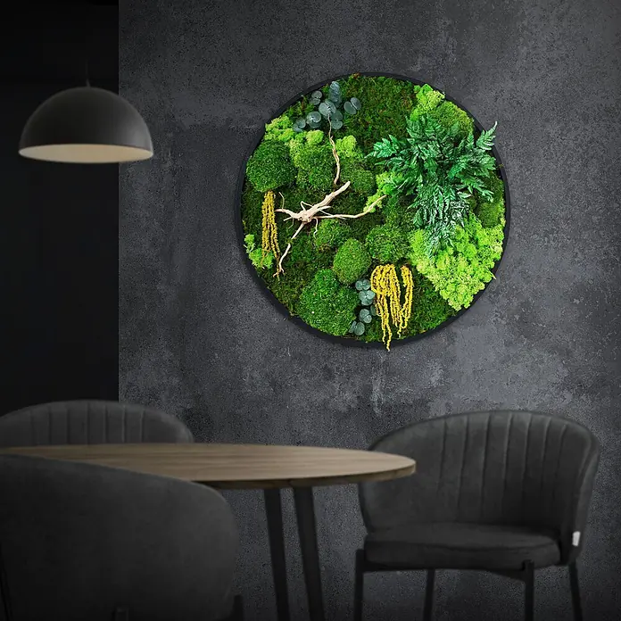 Moosbild Rund Ø60 cm Mooswand Indoor gerahmt echtes Moos-Mix Holzäste -  - Rundes gerahmtes Moosbild mit verschiedenen grünen Moosen, Farn, gelben Akzenten und einem Ast, dekoriert eine dunkle Wand.