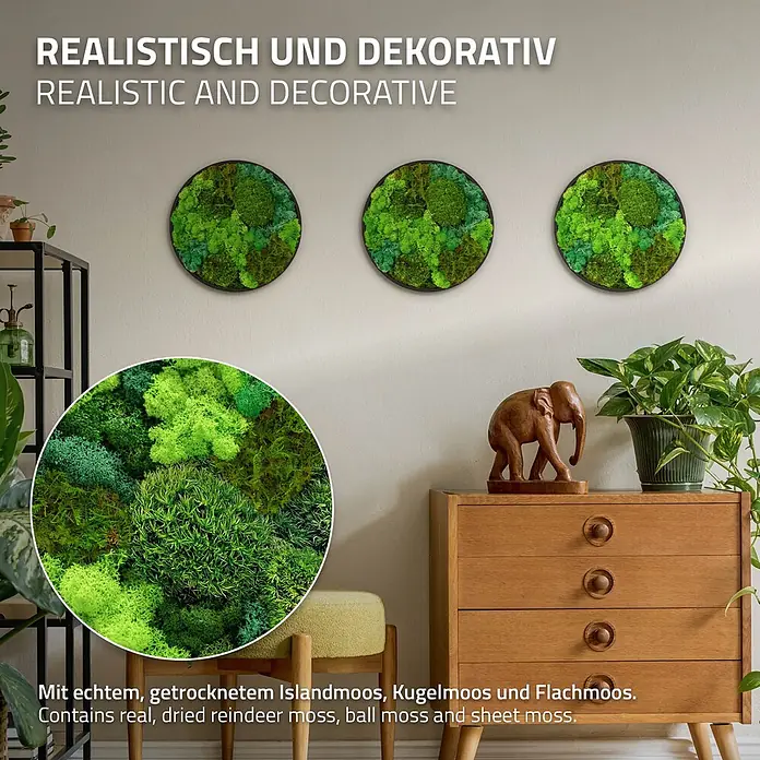 Moosbild Rund Ø30 cm Mooswand Indoor mit echtem Moos-Mix gerahmt -  - Drei runde Moosbilder an einer Wand in einem Wohnzimmer, mit echtem getrocknetem Island-, Kugel- und Flachmoos.
