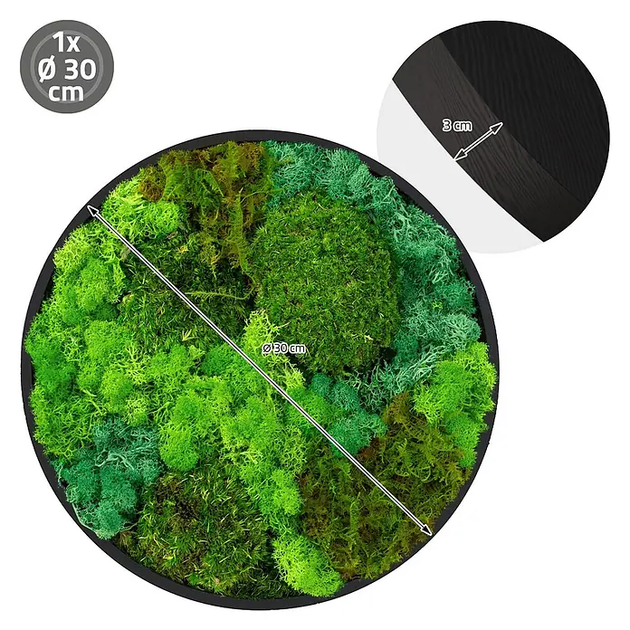 Moosbild Rund Ø30 cm Mooswand Indoor mit echtem Moos-Mix gerahmt -  - Rundes Moosbild in schwarzem Rahmen, mit verschiedenen grünen Moosarten. Durchmesser 30 cm, Tiefe 3 cm.