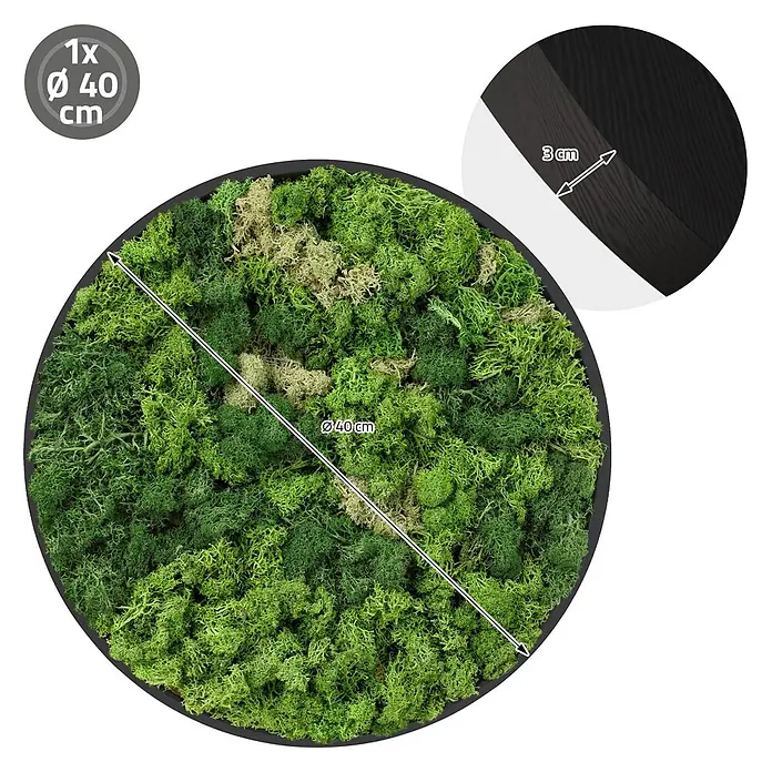 Moosbild Rund Ø 40 cm Mooswand Indoor mit echtem Islandmoos Holzrahmen -  - Rundes Moosbild mit grünem Moos und schwarzem Rahmen, 40 cm Durchmesser und 3 cm Tiefe.