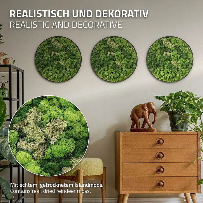 Moosbild Rund Ø 40 cm Mooswand Indoor mit echtem Islandmoos Holzrahmen -  - Drei runde dekorative Moosbilder aus echtem, getrocknetem Islandmoos, an einer Wand aufgehängt.