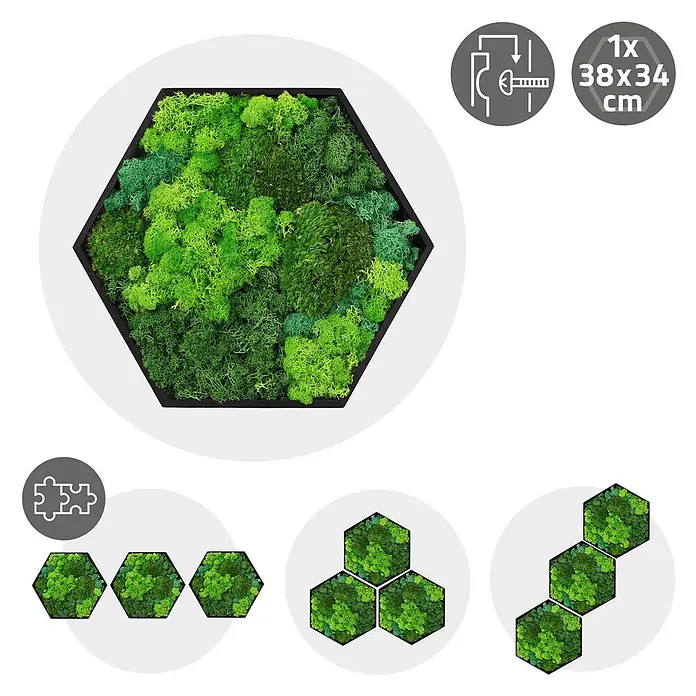 Moosbild Hexagon 38x34 cm Mooswand Indoor mit echtem Moos-Mix gerahmt -  - Hexagonaler Rahmen mit verschiedenen Grüntönen Moos (38x34 cm), zeigt Aufhängedetails und modulare Anordnung.
