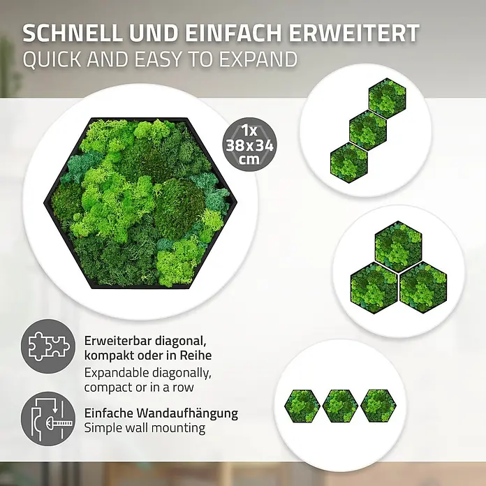 Moosbild Hexagon 38x34 cm Mooswand Indoor mit echtem Moos-Mix gerahmt -  - Sechseckige grüne Moos-Wandpaneele, einzeln und arrangiert gezeigt. Erweiterbar und einfach anzubringen.