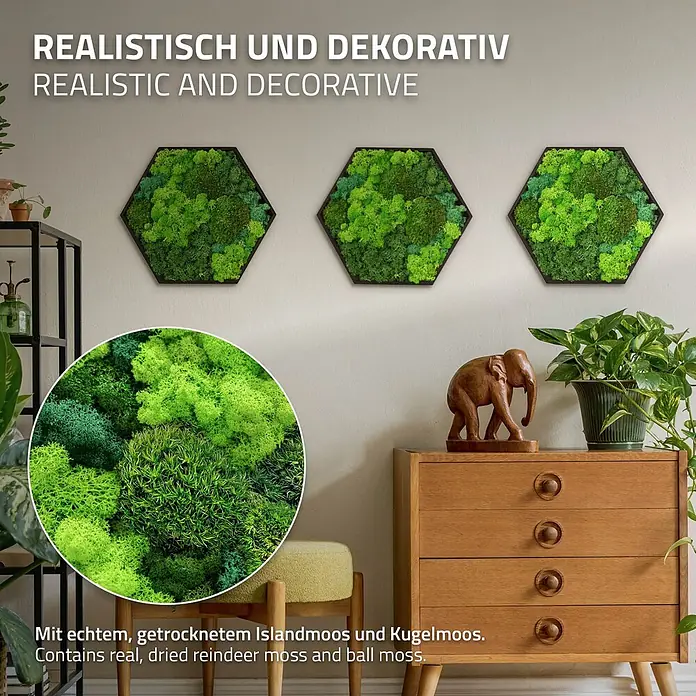 Moosbild Hexagon 38x34 cm Mooswand Indoor mit echtem Moos-Mix gerahmt -  - Drei sechseckige Moosbilder, mit echten, getrockneten Island- und Kugelmoosen.