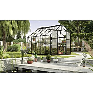Vitavia Gewächshaus Uranus 8300 (Außenmaß inkl. Dachüberstand (B x T): 257 x 321 cm, Schwarz)