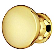 Möbelknopf (Ø x H: 25 x 22 mm, Zinkdruckguss, Goldfarben, Poliert)
