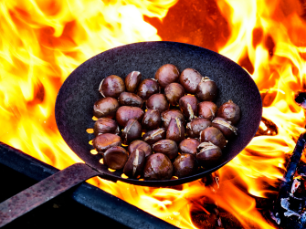 Peka kostanja.