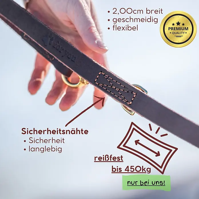 Echtleder Hundeleine mit integriertem Halsband – handgefertigt in Germany - -  - Braune Lederleine in einer Hand, zeigt Sicherheitsnähte, Reißfestigkeit bis 450kg und Premium-Qualität.