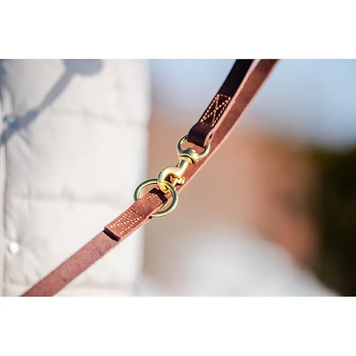 Hundeleine / Führleine - Echtleder mit Halsband – handgefertigt in Germany -  - Nahaufnahme einer braunen Lederleine mit goldenem Messing-Karabinerhaken und D-Ring, vor verschwommenem Hintergrund gehalten.