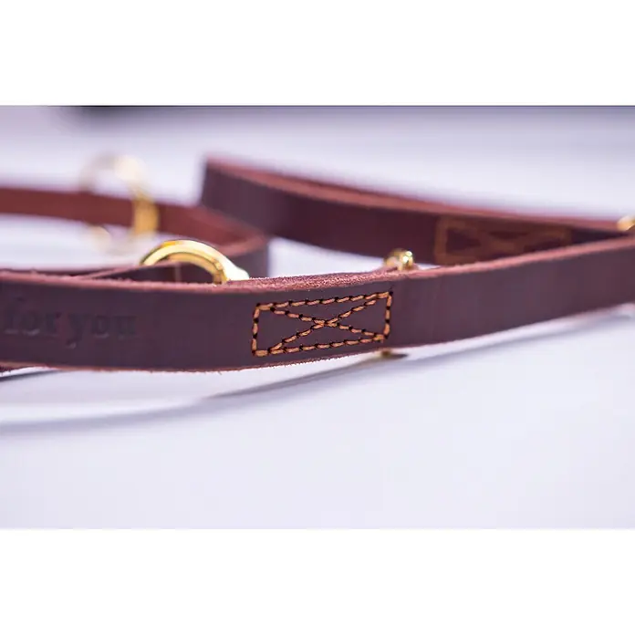 Hundeleine / Führleine - Echtleder mit Halsband – handgefertigt in Germany -  - Braunes Lederband mit goldener Hardware, hellbraunen Nähten und geprägtem 'for you' Schriftzug.
