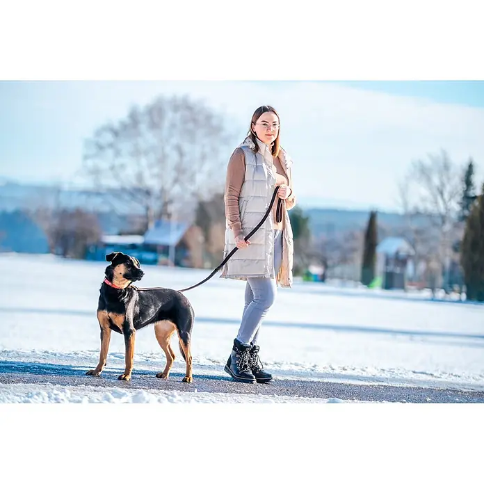 Hundeleine / Führleine - Echtleder mit Halsband – handgefertigt in Germany -  - Frau hält dunkle Hundeleine, an schwarz-braunen Hund in verschneitem Park.