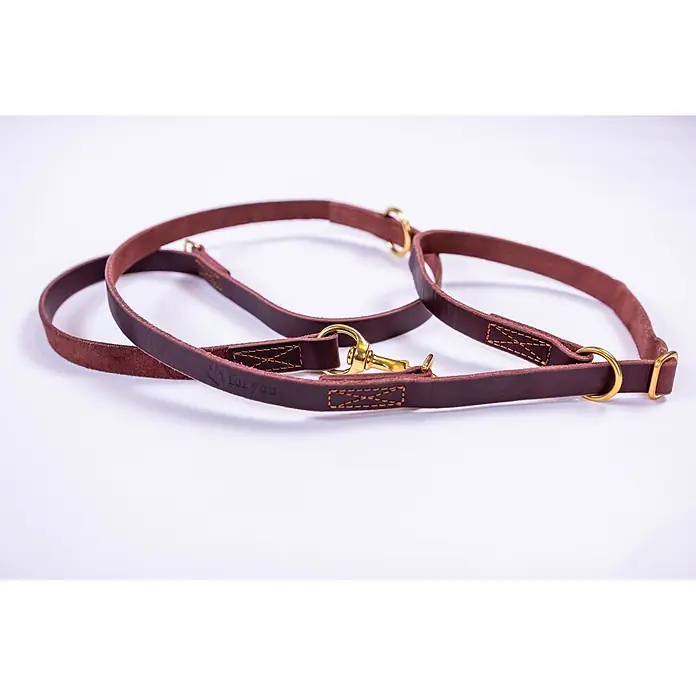 Hundeleine / Führleine - Echtleder mit Halsband – handgefertigt in Germany -  - Braune Lederleine für Hunde mit „for you“-Schriftzug und goldfarbenen Metallbeschlägen.