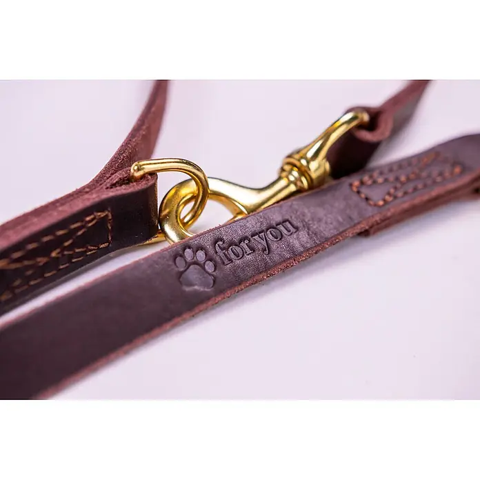 Hundeleine / Führleine - Echtleder mit Halsband – handgefertigt in Germany -  - Nahaufnahme einer dunkelbraunen Lederhundeleine mit goldfarbenen Metallbeschlägen, geprägtem Pfotenabdruck und "for you"-Schriftzug.