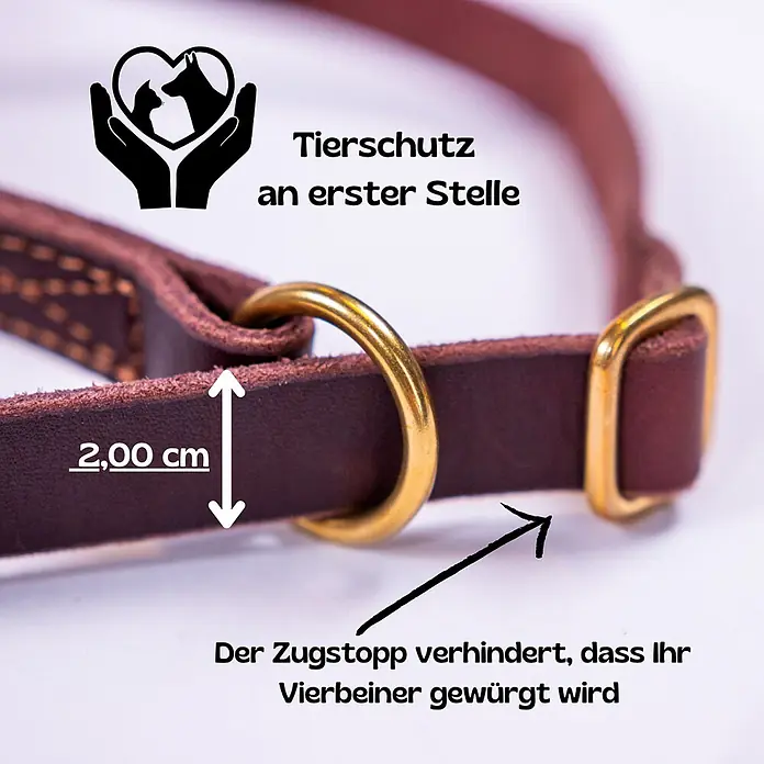 Echtleder Hundeleine mit integriertem Halsband – handgefertigt in Germany - -  - Braunes Lederhalsband, 2 cm breit, mit Messingringen. Der Zugstopp verhindert Würgen des Hundes.