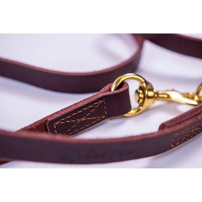 Hundeleine / Führleine - Echtleder mit Halsband – handgefertigt in Germany -  - Braune Lederleine für Hunde mit goldenem Drehkarabiner und Ziernähten.