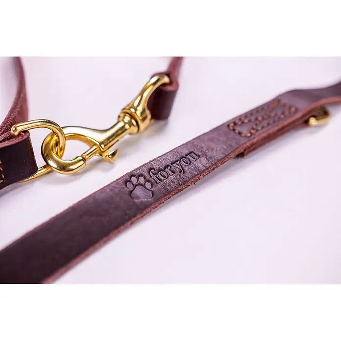 Hundeleine / Führleine - Echtleder mit Halsband – handgefertigt in Germany -  - Nahaufnahme einer dunkelbraunen Leder-Tierleine mit goldfarbenen Metallbeschlägen und geprägtem Pfotenabdruck und 'for you'-Schriftzug.