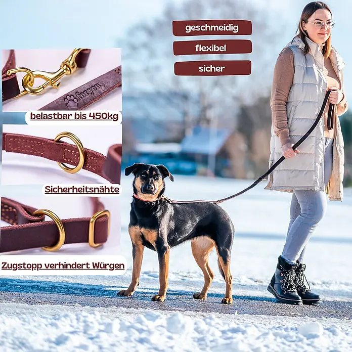 Echtleder Hundeleine mit integriertem Halsband – handgefertigt in Germany - -  - Braunes Lederhalsband und Leine mit goldener Hardware an einem Hund, der mit einer Person im Schnee spaziert. Mit Sicherheitsnähten und Zugstopp.