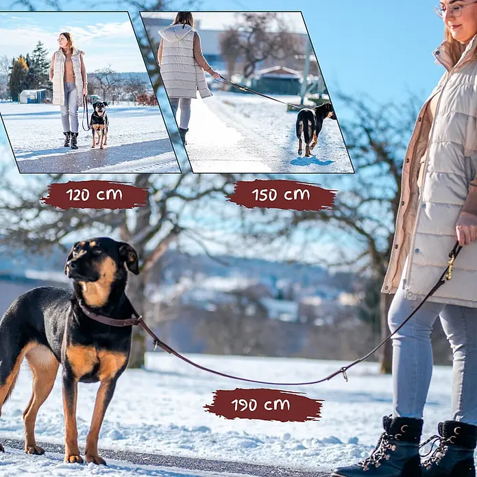 Echtleder Hundeleine mit integriertem Halsband – handgefertigt in Germany - -  - Braune Lederhundeleine in drei Längen (120, 150, 190 cm) mit Hund im Schnee.
