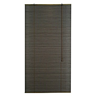 Estor enrollable Haití (An x Al: 120 x 175 cm, Marrón oscuro)