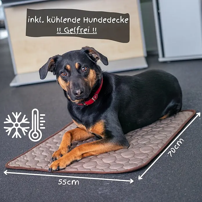 Universaler PKW Rücksitzschoner mit Kühldecke, wasserabweisend - kratzfest -  - Gesteppte, braun-beige Kühlmatte (55x70cm) für Hunde. Ein Hund liegt darauf. Gelfrei.